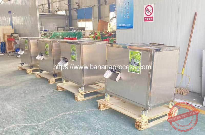 Green-Banana-Peeler-Machine-for-India-Customer